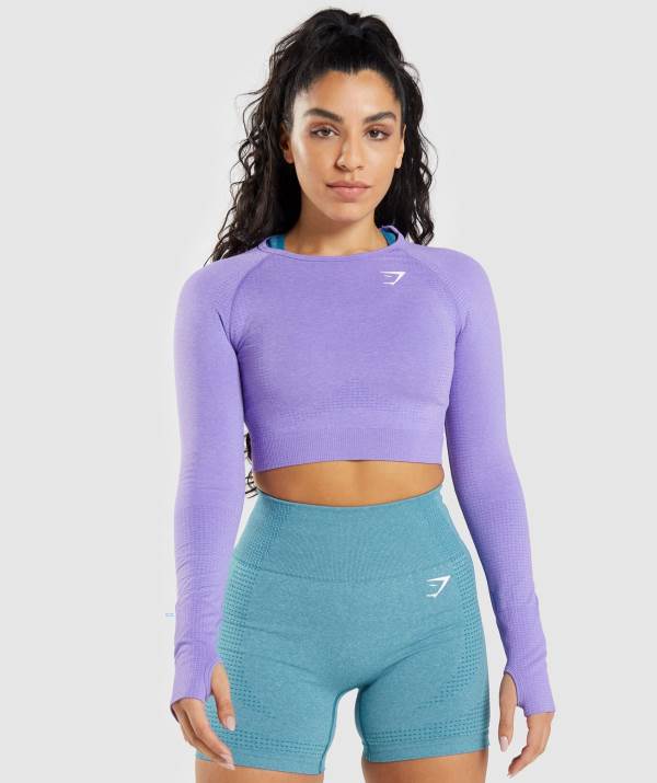 Damske Crop Top Gymshark Vital Seamless 2.0 Long Sleeve Svetlo Nachový | GL6093857
